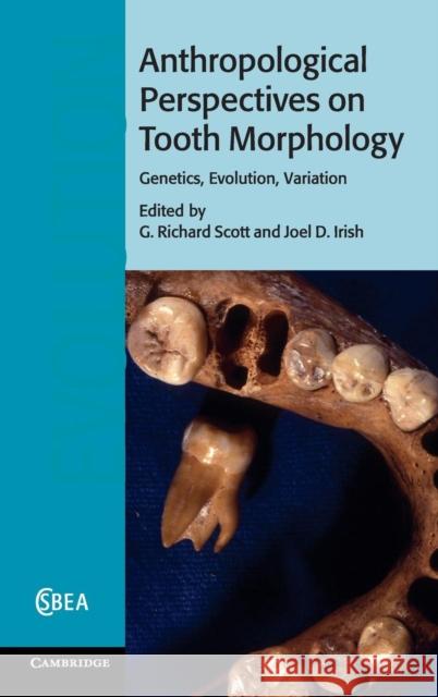 Anthropological Perspectives on Tooth Morphology: Genetics, Evolution, Variation Scott, G. Richard 9781107011458 0