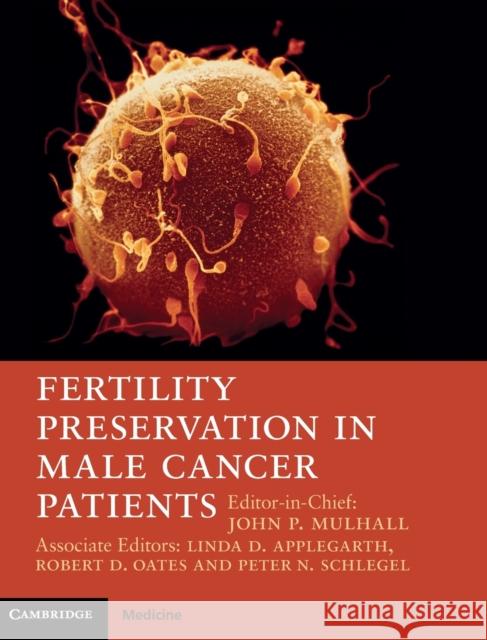 Fertility Preservation in Male Cancer Patients John P Mulhall 9781107012127