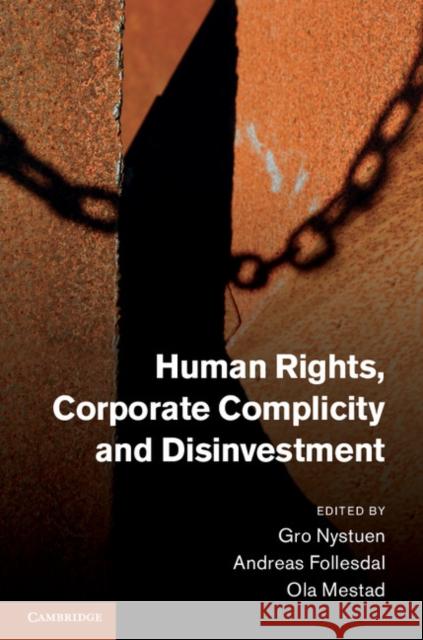 Human Rights, Corporate Complicity and Disinvestment Gro Nystuen 9781107012851