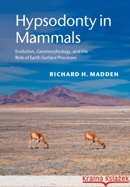 Hypsodonty in Mammals: Evolution, Geomorphology, and the Role of Earth Surface Processes Richard Madden 9781107012936 Cambridge University Press