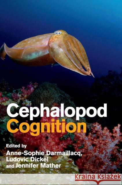 Cephalopod Cognition Anne-Sophie Darmaillacq 9781107015562