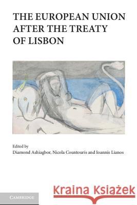 The European Union After the Treaty of Lisbon Ashiagbor, Diamond 9781107017573 0