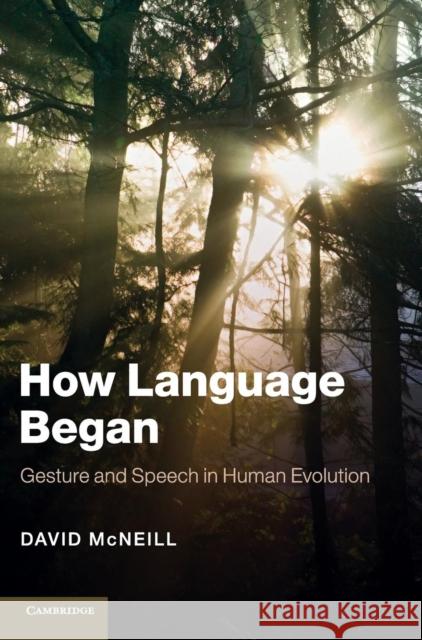 How Language Began McNeill, David 9781107021211