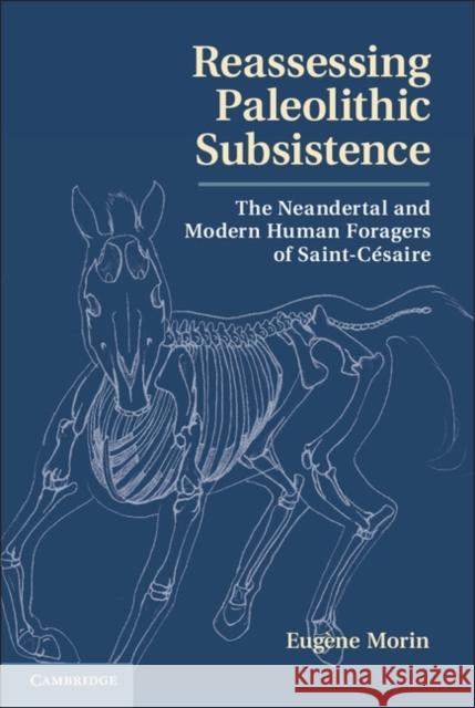 Reassessing Paleolithic Subsistence: The Neandertal and Modern Human Foragers of Saint-Césaire Morin, Eugène 9781107023277 0