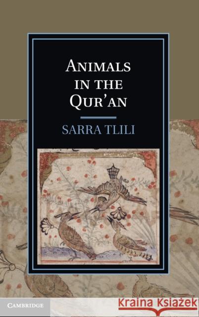 Animals in the Qur'an Sarra Tlili 9781107023703