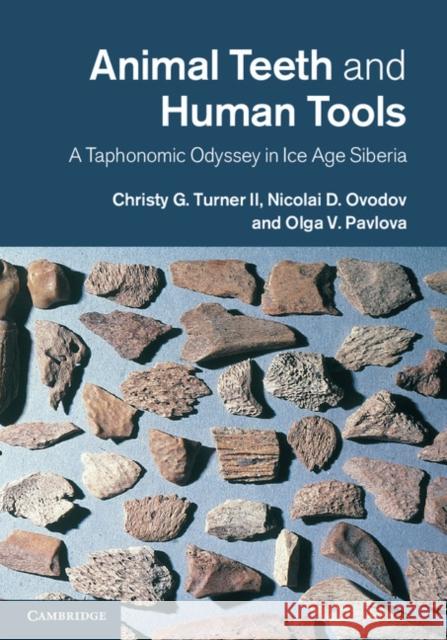 Animal Teeth and Human Tools: A Taphonomic Odyssey in Ice Age Siberia Turner II, Christy G. 9781107030299 0