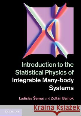 Introduction to the Statistical Physics of Integrable Many-Body Systems Samaj, Ladislav 9781107030435