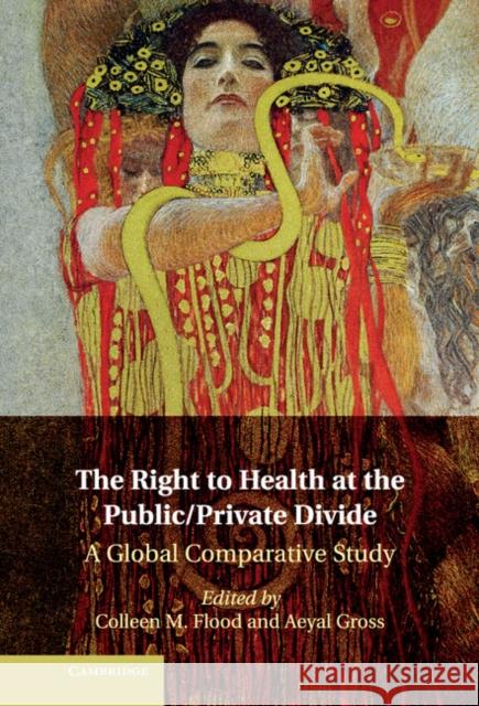 The Right to Health at the Public/Private Divide: A Global Comparative Study Flood, Colleen M. 9781107038301