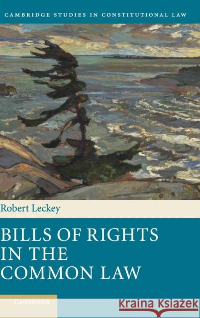 Bills of Rights in the Common Law Robert Leckey 9781107038530 Cambridge University Press