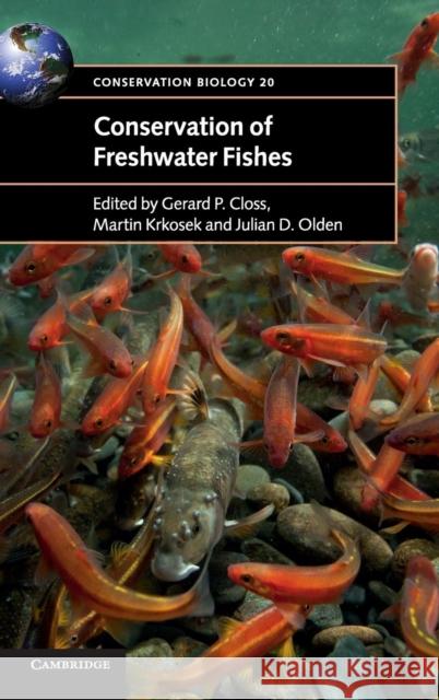 Conservation of Freshwater Fishes Gerry Closs Martin Krkosek Julian Olden 9781107040113