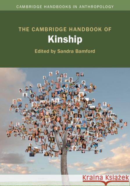 The Cambridge Handbook of Kinship Sandra Bamford 9781107041189