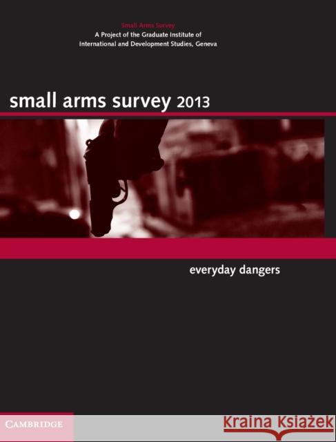 Small Arms Survey 2013: Everyday Dangers Small Arms Survey Geneva 9781107041967 Cambridge University Press