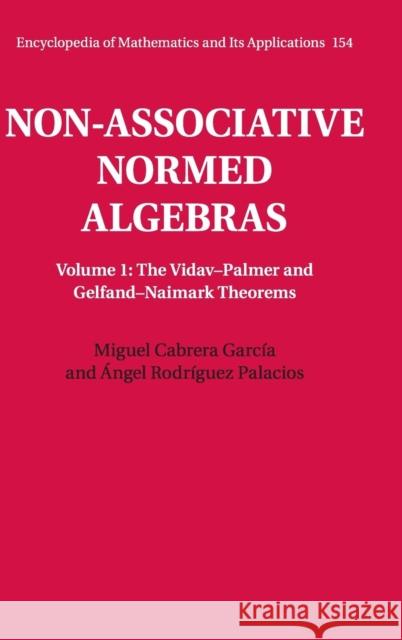 Non-Associative Normed Algebras Miguel Cabrera Garca 9781107043060