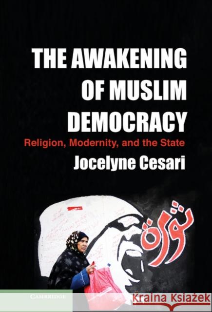 The Awakening of Muslim Democracy: Religion, Modernity, and the State Cesari, Jocelyne 9781107044180 Cambridge University Press