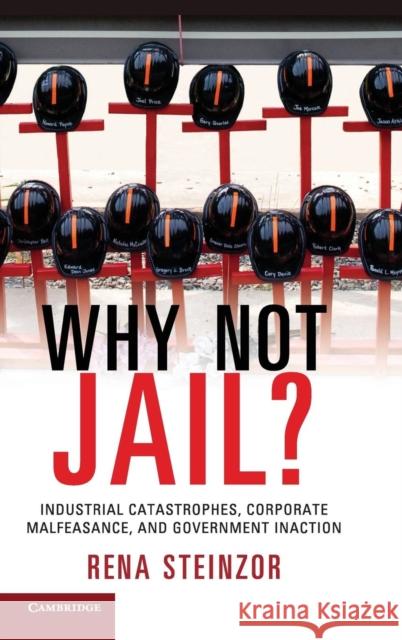 Why Not Jail?: Industrial Catastrophes, Corporate Malfeasance, and Government Inaction Steinzor, Rena 9781107053403 Cambridge University Press