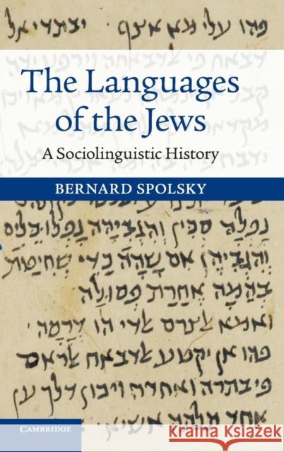 The Languages of the Jews: A Sociolinguistic History Spolsky, Bernard 9781107055445 Cambridge University Press