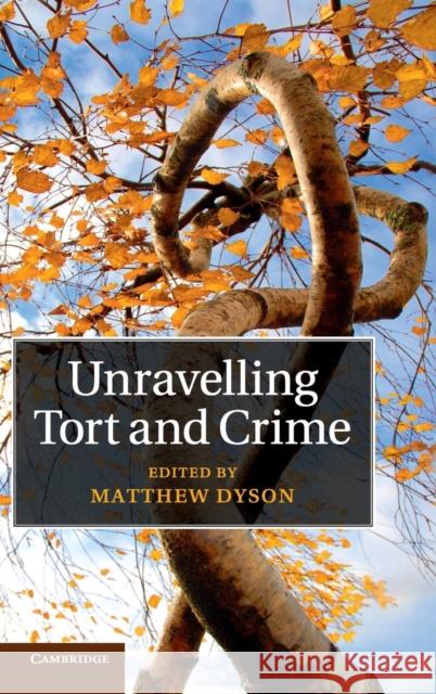 Unravelling Tort and Crime Matthew Dyson   9781107066113 Cambridge University Press