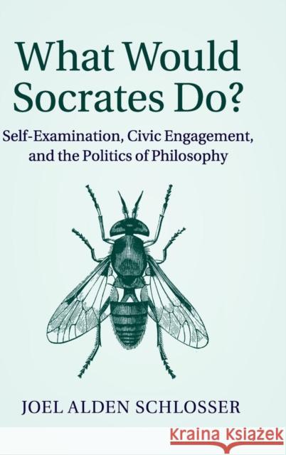 What Would Socrates Do?: Self-Examination, Civic Engagement, and the Politics of Philosophy Schlosser, Joel Alden 9781107067424