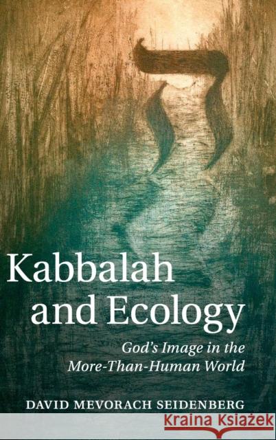 Kabbalah and Ecology: God's Image in the More-Than-Human World Seidenberg, David Mevorach 9781107081338 Cambridge University Press