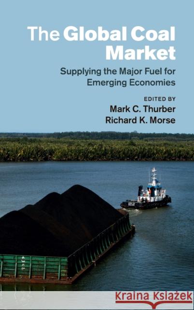 The Global Coal Market: Supplying the Major Fuel for Emerging Economies Thurber, Mark C. 9781107092426