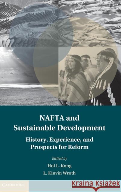 NAFTA and Sustainable Development: History, Experience, and Prospects for Reform Kong, Hoi L. 9781107097223 Cambridge University Press