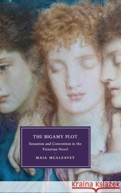 The Bigamy Plot: Sensation and Convention in the Victorian Novel McAleavey, Maia 9781107103160