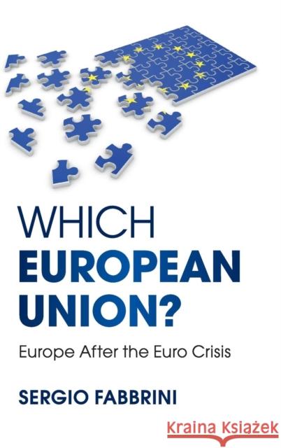 Which European Union?: Europe After the Euro Crisis Fabbrini, Sergio 9781107103948 Cambridge University Press
