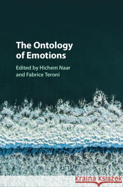 The Ontology of Emotions Hichem Naar 9781107110540 Cambridge University Press