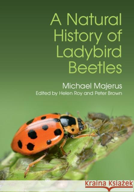 A Natural History of Ladybird Beetles Michael Majerus M. E. N. Majerus Helen Roy 9781107116078 Cambridge University Press