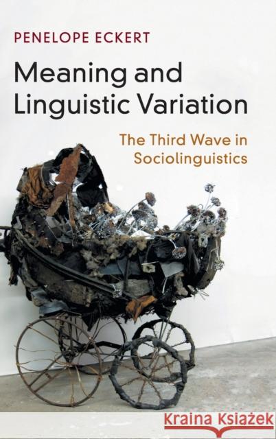 Meaning and Linguistic Variation: The Third Wave in Sociolinguistics Eckert, Penelope 9781107122970