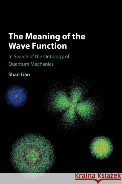 The Meaning of the Wave Function: In Search of the Ontology of Quantum Mechanics Gao, Shan 9781107124356 Cambridge University Press