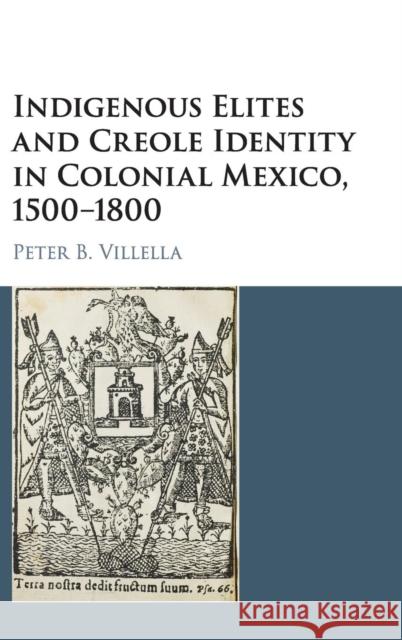 Indigenous Elites and Creole Identity in Colonial Mexico, 1500-1800 Peter Villella 9781107129030 Cambridge University Press