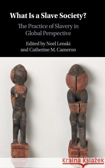 What Is a Slave Society?: The Practice of Slavery in Global Perspective Noel Lenski Catherine Cameron 9781107144897 Cambridge University Press