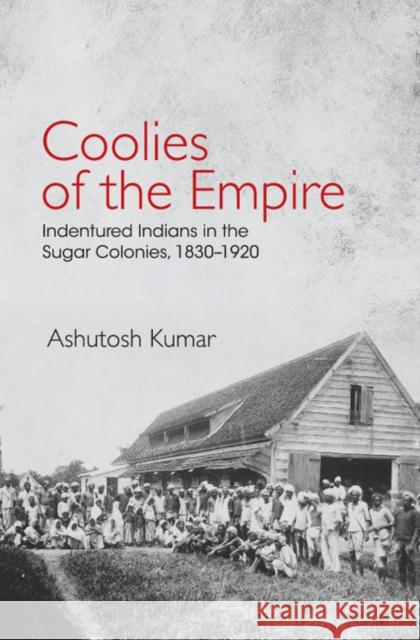 Coolies of the Empire: Indentured Indians in the Sugar Colonies, 1830-1920 Ashutosh Kumar 9781107147959