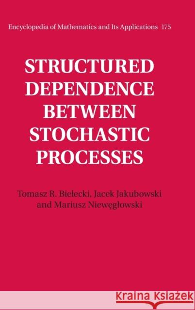 Structured Dependence Between Stochastic Processes Bielecki, Tomasz R. 9781107154254