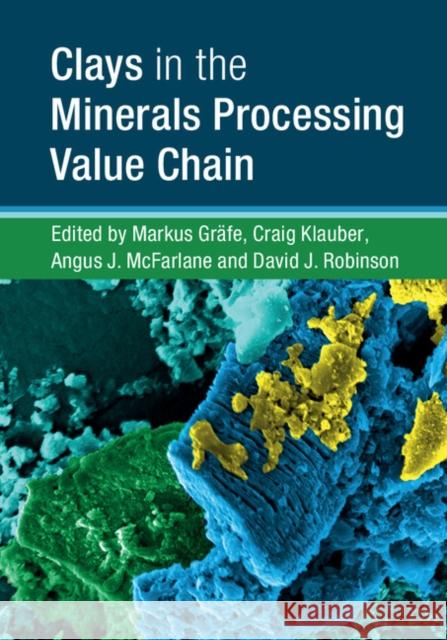 Clays in the Minerals Processing Value Chain Markus Grafe Craig Klauber Angus McFarlane 9781107157323 Cambridge University Press