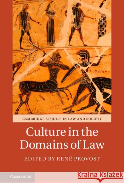 Culture in the Domains of Law Rene Provost 9781107163331 Cambridge University Press