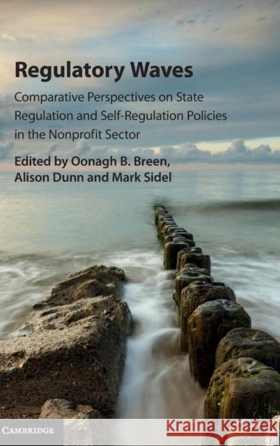 Regulatory Waves: Comparative Perspectives on State Regulation and Self-Regulation Policies in the Nonprofit Sector Breen, Oonagh B. 9781107166851 Cambridge University Press