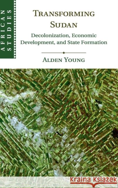Transforming Sudan: Decolonization, Economic Development, and State Formation Young, Alden 9781107172494 Cambridge University Press
