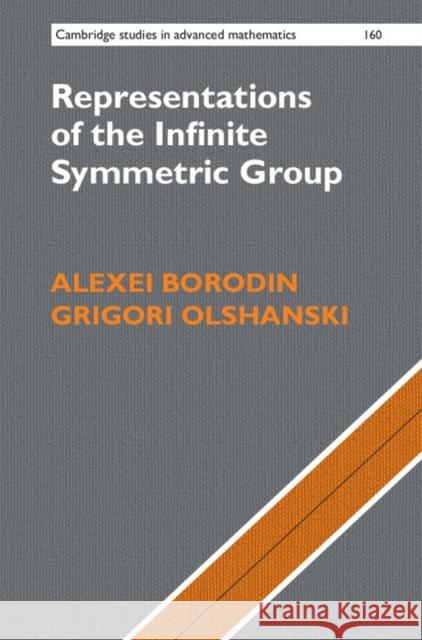 Representations of the Infinite Symmetric Group Alexei Borodin Grigori Olshanski 9781107175556 Cambridge University Press