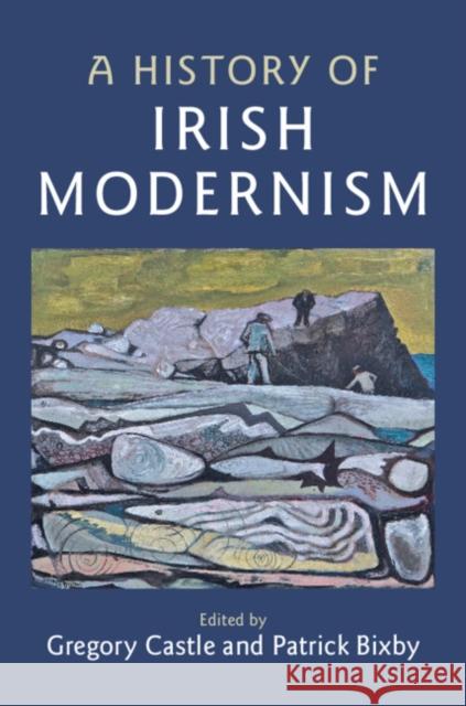 A History of Irish Modernism Patrick Bixby Gregory Castle 9781107176720