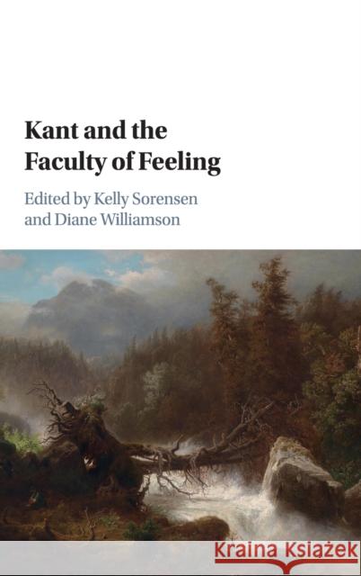 Kant and the Faculty of Feeling Kelly Sorensen Diane Williamson 9781107178229 Cambridge University Press