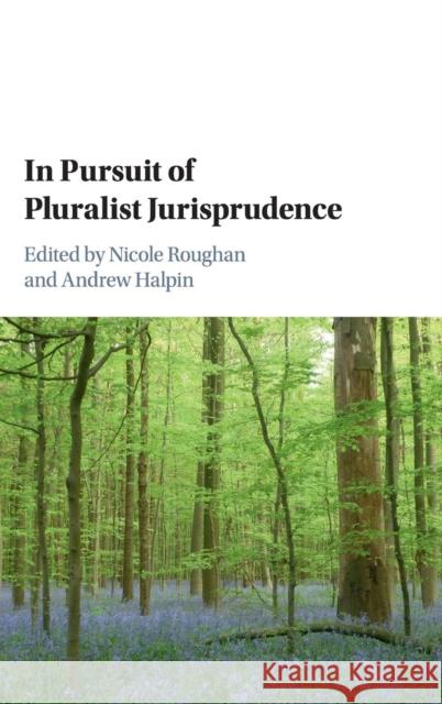 In Pursuit of Pluralist Jurisprudence Nicole Roughan Andrew Halpin 9781107183964 Cambridge University Press