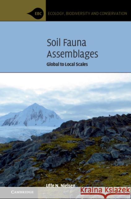 Soil Fauna Assemblages: Global to Local Scales Uffe Nielsen 9781107191488 Cambridge University Press