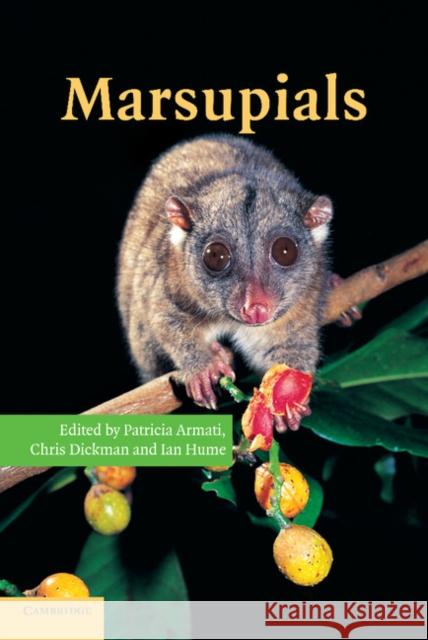 Marsupials Patricia J. Armati Chris R. Dickman Ian D. Hume 9781107406070 Cambridge University Press