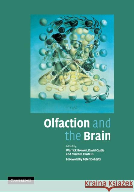 Olfaction and the Brain Warrick J. Brewer David Castle Christos Pantelis 9781107406100 Cambridge University Press