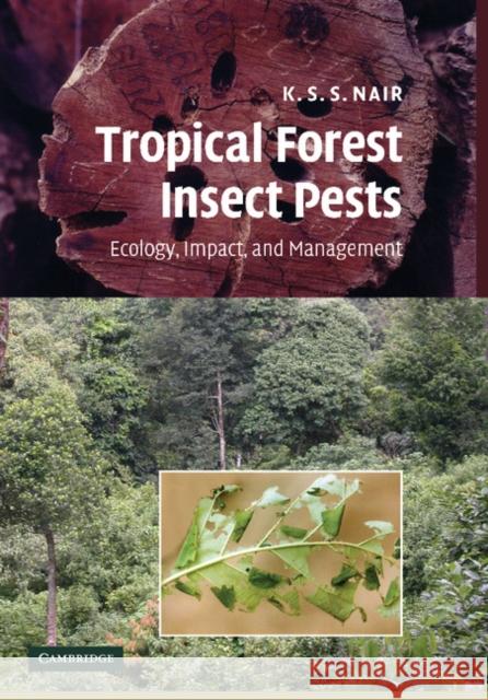 Tropical Forest Insect Pests: Ecology, Impact, and Management Nair, K. S. S. 9781107407879 Cambridge University Press