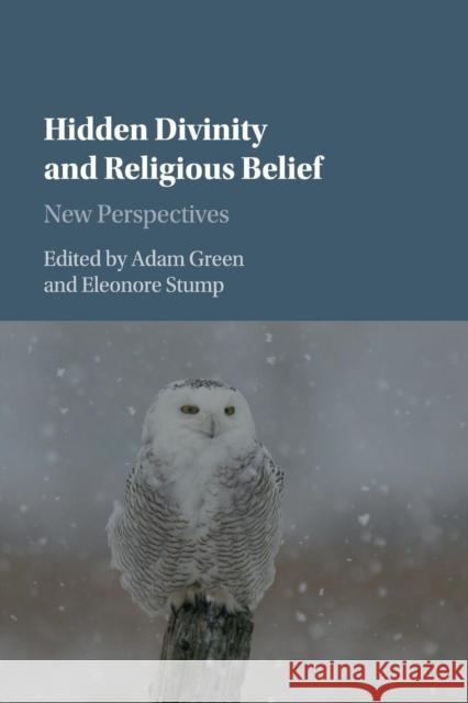 Hidden Divinity and Religious Belief: New Perspectives Green, Adam 9781107435032