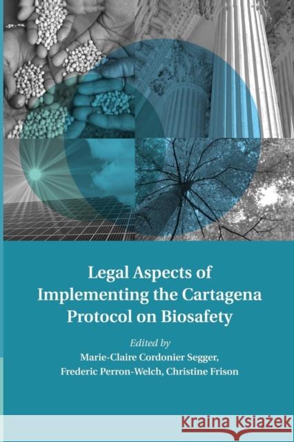 Legal Aspects of Implementing the Cartagena Protocol on Biosafety Marie-Claire Cordonie Frederic Perron-Welch Christine Frison 9781107438545