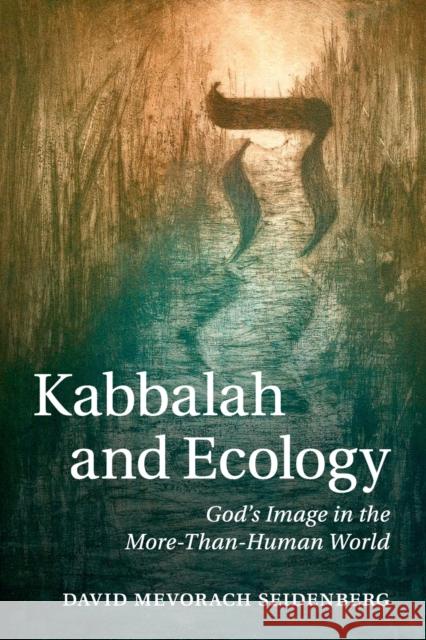 Kabbalah and Ecology: God's Image in the More-Than-Human World Seidenberg, David Mevorach 9781107441446 Cambridge University Press